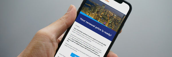 Automated Renewal Email